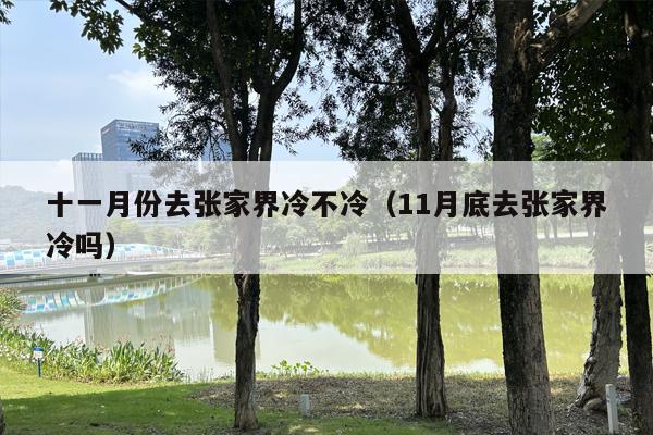 十一月份去张家界冷不冷（11月底去张家界冷吗）