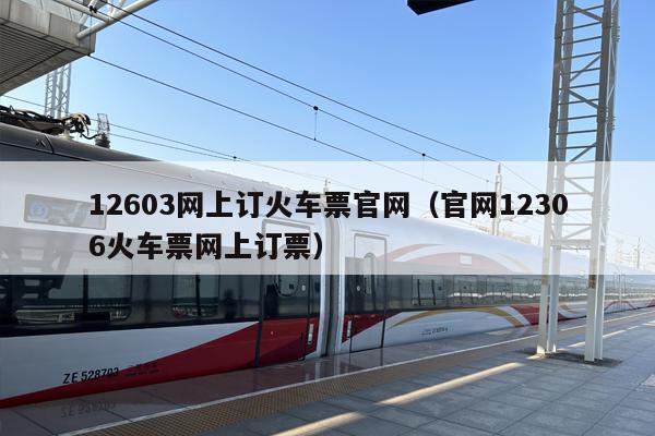 12603网上订火车票官网（官网12306火车票网上订票）
