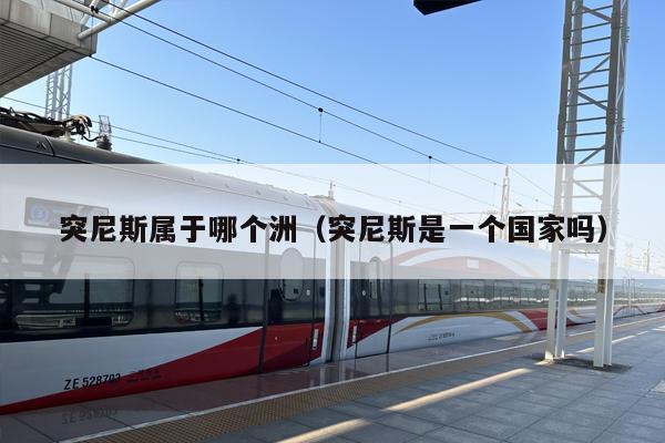 突尼斯属于哪个洲（突尼斯是一个国家吗）