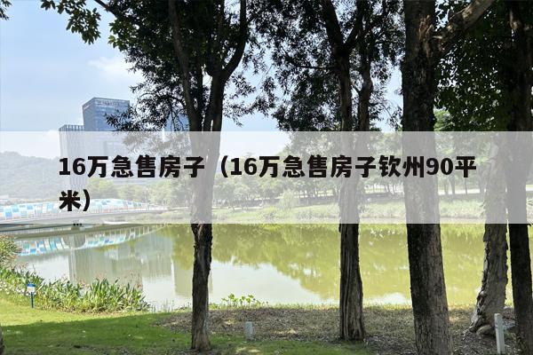 16万急售房子（16万急售房子钦州90平米）