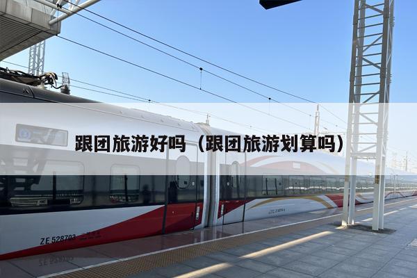 跟团旅游好吗（跟团旅游划算吗）