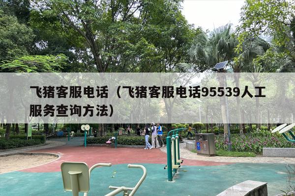 飞猪客服电话（飞猪客服电话95539人工服务查询方法）