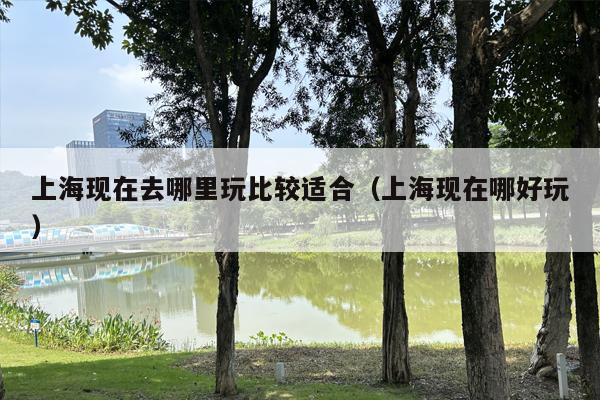 上海现在去哪里玩比较适合（上海现在哪好玩）
