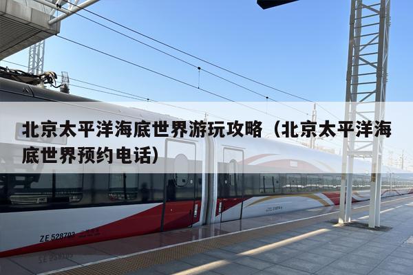 北京太平洋海底世界游玩攻略（北京太平洋海底世界预约电话）