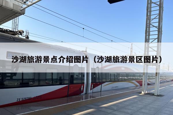 沙湖旅游景点介绍图片（沙湖旅游景区图片）