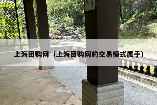 上海团购网（上海团购网的交易模式属于）