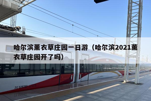 哈尔滨薰衣草庄园一日游（哈尔滨2021薰衣草庄园开了吗）