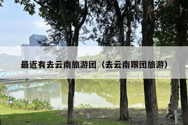 最近有去云南旅游团（去云南跟团旅游）