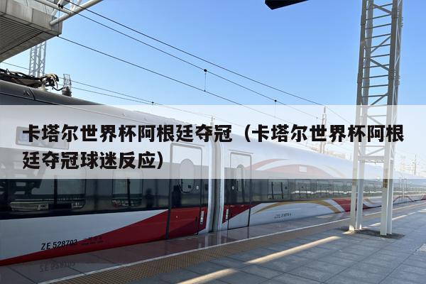 卡塔尔世界杯阿根廷夺冠（卡塔尔世界杯阿根廷夺冠球迷反应）