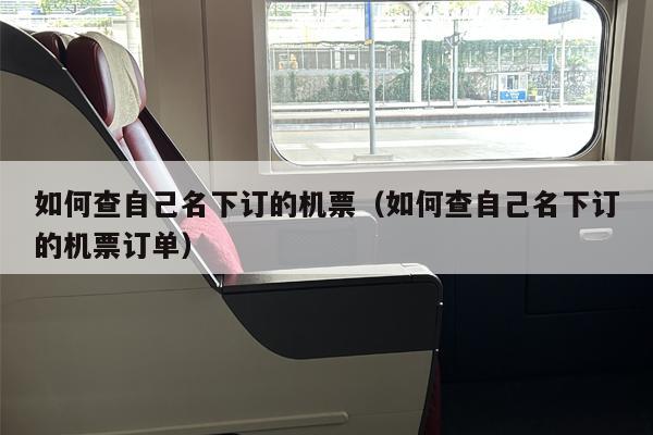 如何查自己名下订的机票（如何查自己名下订的机票订单）