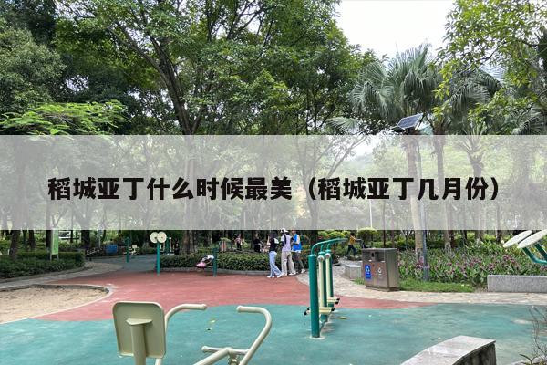 稻城亚丁什么时候最美（稻城亚丁几月份）