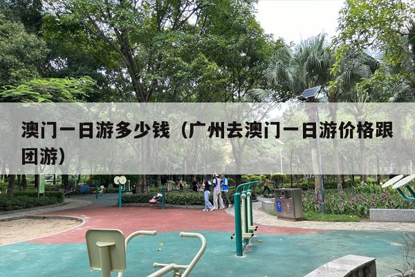 澳门一日游多少钱（广州去澳门一日游价格跟团游）