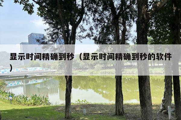 显示时间精确到秒（显示时间精确到秒的软件）