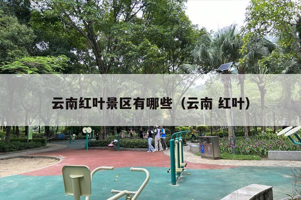 云南红叶景区有哪些（云南 红叶）