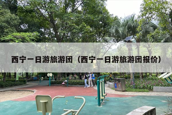 西宁一日游旅游团（西宁一日游旅游团报价）