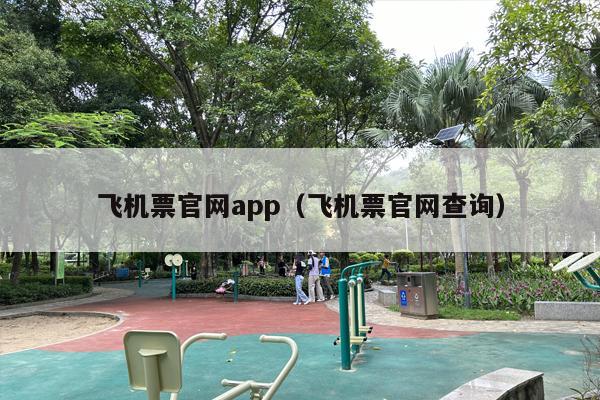 飞机票官网app（飞机票官网查询）