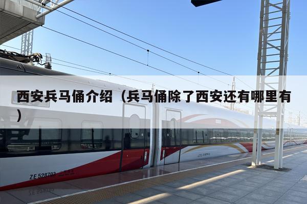 西安兵马俑介绍（兵马俑除了西安还有哪里有）