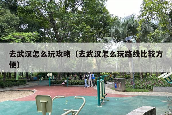 去武汉怎么玩攻略（去武汉怎么玩路线比较方便）