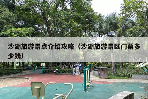 沙湖旅游景点介绍攻略（沙湖旅游景区门票多少钱）