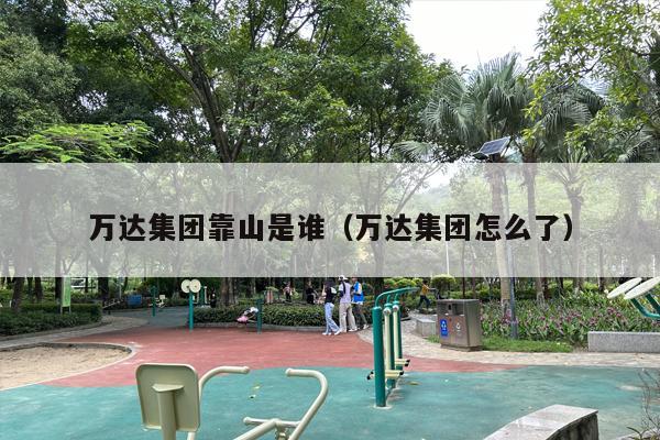万达集团靠山是谁（万达集团怎么了）
