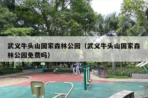 武义牛头山国家森林公园（武义牛头山国家森林公园免费吗）