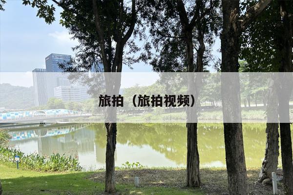 旅拍（旅拍视频）