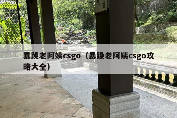 暴躁老阿姨csgo（暴躁老阿姨csgo攻略大全）