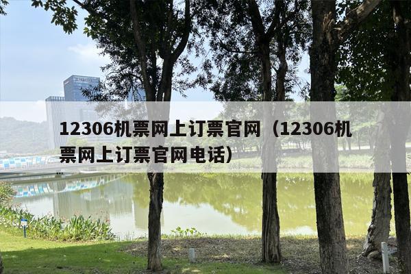 12306机票网上订票官网（12306机票网上订票官网电话）