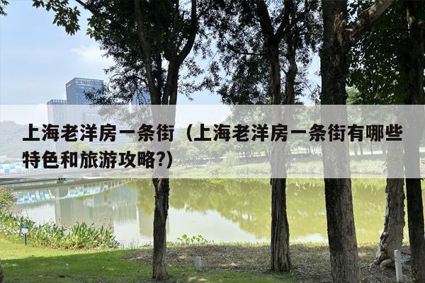 上海老洋房一条街（上海老洋房一条街有哪些特色和旅游攻略?）