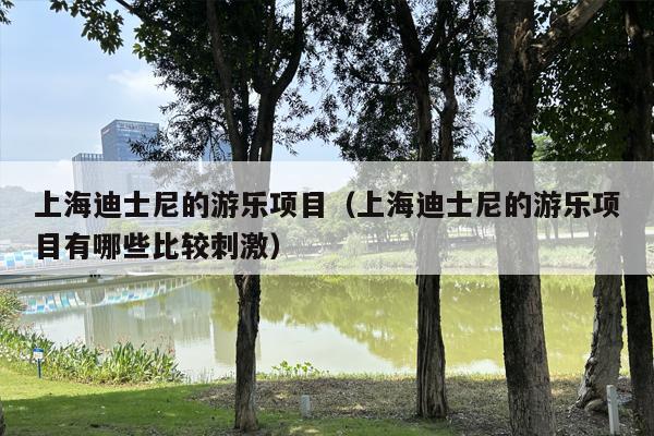 上海迪士尼的游乐项目（上海迪士尼的游乐项目有哪些比较刺激）