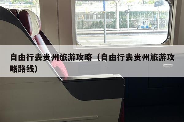 自由行去贵州旅游攻略（自由行去贵州旅游攻略路线）