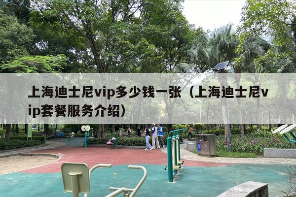 上海迪士尼vip多少钱一张（上海迪士尼vip套餐服务介绍）