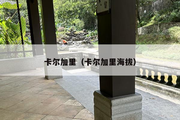 卡尔加里（卡尔加里海拔）