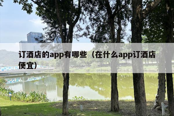 订酒店的app有哪些（在什么app订酒店便宜）