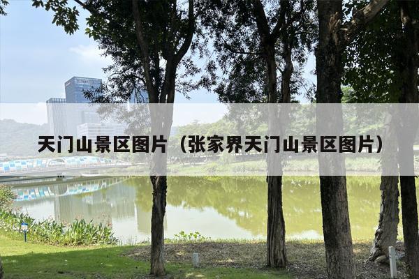 天门山景区图片（张家界天门山景区图片）