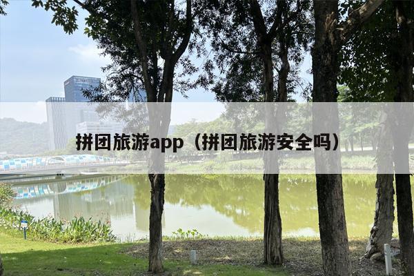 拼团旅游app（拼团旅游安全吗）