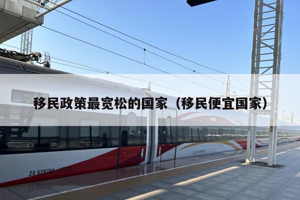 ***政策最宽松的国家（***便宜国家）