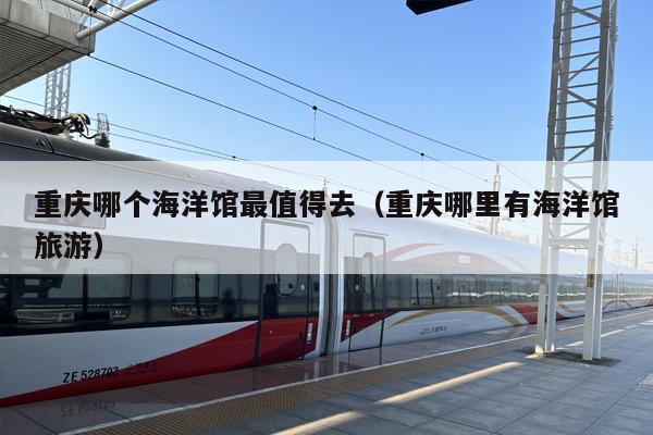 重庆哪个海洋馆最值得去（重庆哪里有海洋馆旅游）