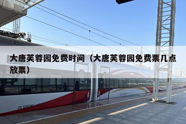 大唐芙蓉园免费时间（大唐芙蓉园免费票几点放票）