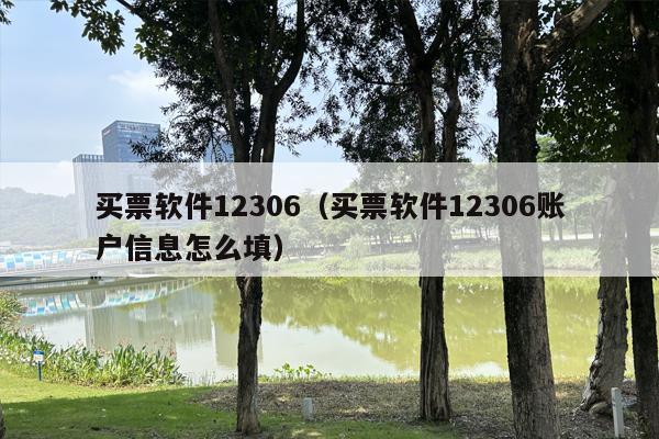 买票软件12306（买票软件12306账户信息怎么填）