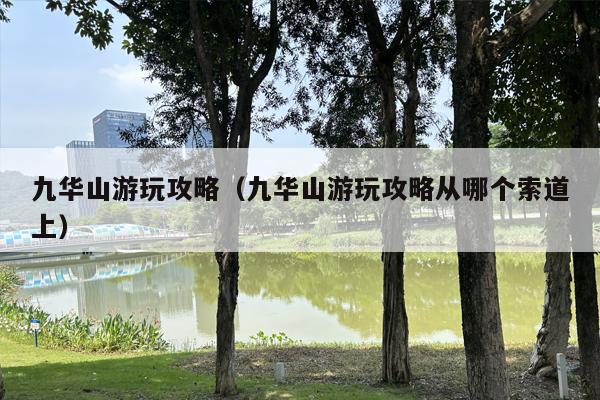 九华山游玩攻略（九华山游玩攻略从哪个索道上）