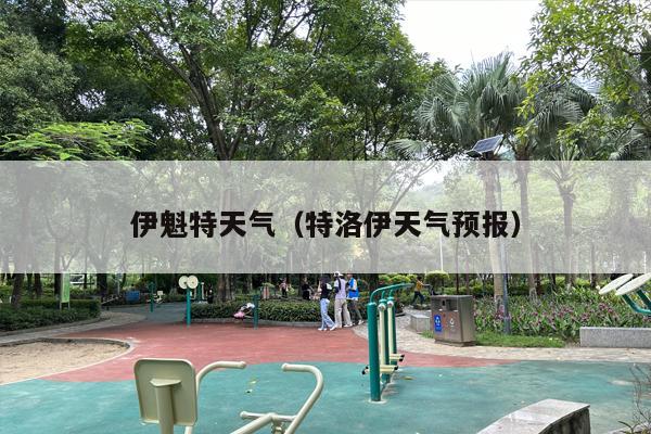 伊魁特天气（特洛伊天气预报）