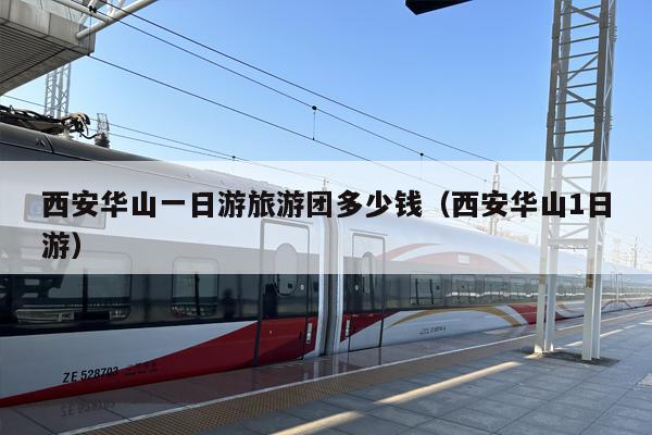 西安华山一日游旅游团多少钱（西安华山1日游）