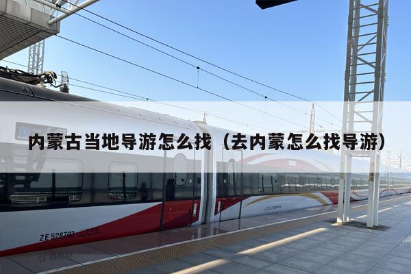 内蒙古当地导游怎么找（去内蒙怎么找导游）