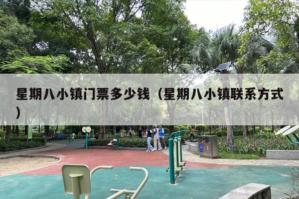 星期八小镇门票多少钱（星期八小镇联系方式）