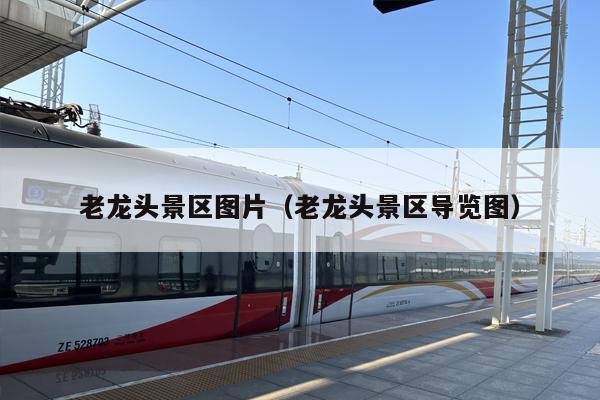 老龙头景区图片（老龙头景区导览图）