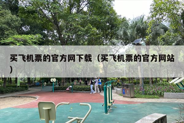 买飞机票的官方网下载（买飞机票的官方网站）