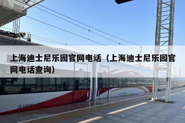 上海迪士尼乐园官网电话（上海迪士尼乐园官网电话查询）