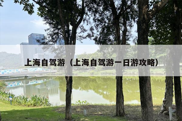 上海自驾游（上海自驾游一日游攻略）