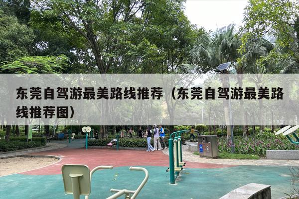 东莞自驾游最美路线推荐（东莞自驾游最美路线推荐图）
